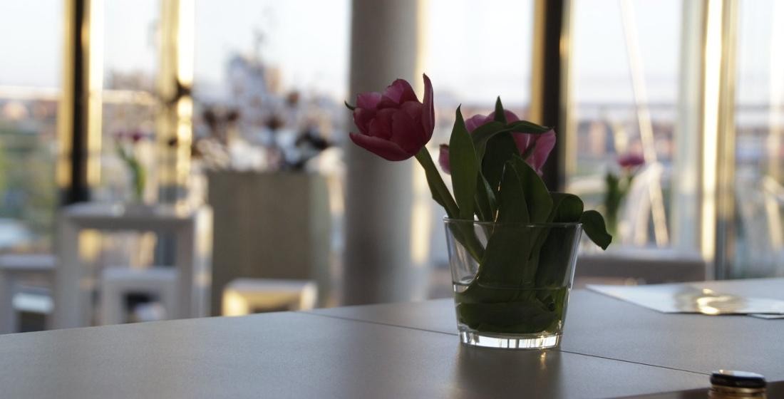 Hotel & Gastro Hotels und Gastronomie in Böblingen und Sindelfingen