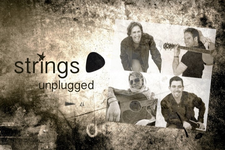 strings unplugged strings unplugged Bandmitglieder